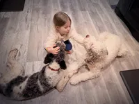 processed/baf0586e-2339-4257-995f-6f2842c0eb3a/facility/35741171-2738-4098-9ad5-72f7f76bf6b2