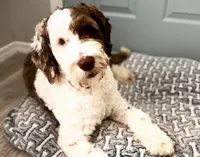 processed/baf0586e-2339-4257-995f-6f2842c0eb3a/facility/35781663-aad6-4786-978f-e8a287382931