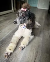 processed/baf0586e-2339-4257-995f-6f2842c0eb3a/facility/3f0cbd1c-e756-4444-b36a-566730106e80