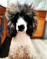 processed/baf0586e-2339-4257-995f-6f2842c0eb3a/facility/7e0bfffb-4ca2-4c3c-a2ff-0fbf21387d8f