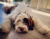 processed/baf0586e-2339-4257-995f-6f2842c0eb3a/facility/d3b31536-f7dc-4d90-acfa-912bc4e34bb8