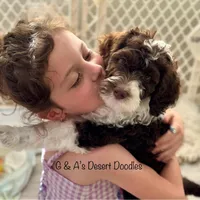 processed/baf0586e-2339-4257-995f-6f2842c0eb3a/facility/ee7c453f-fdb7-479e-867f-940220a24a08