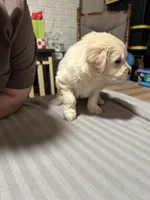 processed/baf9bfac-bb75-4e8c-9724-374c652dbb04/listing/0361bccb-2bcd-4fdd-9242-146e637c85c4/4d970b3b-395e-4b22-8954-801ccc1b7016