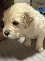 processed/baf9bfac-bb75-4e8c-9724-374c652dbb04/listing/0361bccb-2bcd-4fdd-9242-146e637c85c4/87a975a5-3016-4b4d-9e2a-a9188ee11a64