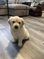 processed/baf9bfac-bb75-4e8c-9724-374c652dbb04/listing/0361bccb-2bcd-4fdd-9242-146e637c85c4/953d47ae-d25e-4ac2-b2c0-26053d0c62f1