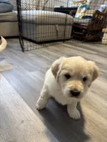 processed/baf9bfac-bb75-4e8c-9724-374c652dbb04/listing/0361bccb-2bcd-4fdd-9242-146e637c85c4/c14723f4-57bb-44d8-93c7-9b09960859c3