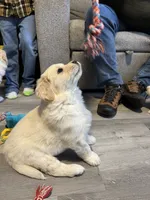 processed/baf9bfac-bb75-4e8c-9724-374c652dbb04/listing/0361bccb-2bcd-4fdd-9242-146e637c85c4/ec982717-c1bf-4db3-b03e-505d119a2b4a