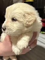 processed/baf9bfac-bb75-4e8c-9724-374c652dbb04/listing/0eb09cfe-d4cf-4dc4-a5dd-882a35d78b1e/76c9c727-f536-40d2-bcad-afe175ecef89