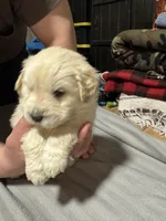 processed/baf9bfac-bb75-4e8c-9724-374c652dbb04/listing/0eb09cfe-d4cf-4dc4-a5dd-882a35d78b1e/f24725fe-f047-464a-9cc9-b2899c8599dc