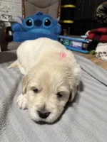 processed/baf9bfac-bb75-4e8c-9724-374c652dbb04/listing/1234ebc4-94c7-4678-9d6e-f788db99730b/d59aa788-9f7a-422a-abc0-a4a8f253d83a