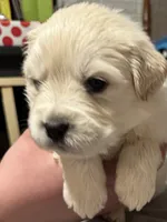 processed/baf9bfac-bb75-4e8c-9724-374c652dbb04/listing/12925f90-b294-419c-8740-549674af2953/5e062fc3-5a66-4540-a503-12a22f2710ce