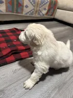 processed/baf9bfac-bb75-4e8c-9724-374c652dbb04/listing/a6b323c6-5c2f-429a-9313-271e0e2d7e74/51fb813c-b0a4-4424-ad8d-9dbb282c627f