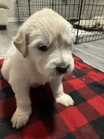 processed/baf9bfac-bb75-4e8c-9724-374c652dbb04/listing/a6b323c6-5c2f-429a-9313-271e0e2d7e74/7d094426-9d96-416c-8d5e-85feb5767f0a