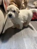 processed/baf9bfac-bb75-4e8c-9724-374c652dbb04/listing/a6b323c6-5c2f-429a-9313-271e0e2d7e74/fb9d9034-6f39-48a2-ad3d-c6b96c9ec600