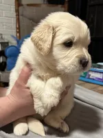 processed/baf9bfac-bb75-4e8c-9724-374c652dbb04/listing/a7e8f021-2062-4301-a22d-1db59e736ddc/209b6e9e-16ad-4a87-8640-8ff0d5fe5f17