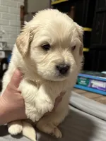 processed/baf9bfac-bb75-4e8c-9724-374c652dbb04/listing/a7e8f021-2062-4301-a22d-1db59e736ddc/b76196e1-6a72-4322-bfd5-4dec4a5fb28a