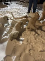 processed/baf9bfac-bb75-4e8c-9724-374c652dbb04/listing/c7646295-ddeb-4a4c-9619-34ed1efbde1f/dbe51b04-81de-4feb-9fb7-f303edede9c6