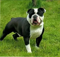 processed/bafc458d-613e-4978-a1be-2bc1d053cedd/listing/37e3a554-0276-413a-9f1d-242544e5a755/33e4784b-60ef-45f9-a664-ad3597c20440