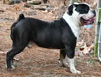 processed/bafc458d-613e-4978-a1be-2bc1d053cedd/listing/37e3a554-0276-413a-9f1d-242544e5a755/a9a91855-42ff-4a58-9dd1-15c36225c9bb