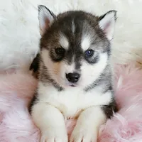 processed/bb037f20-14ce-4c85-8684-e09d2917ae42/facility/71df88c1-b128-4098-a4a5-a29b2aee1d06