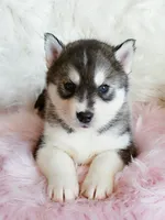 processed/bb037f20-14ce-4c85-8684-e09d2917ae42/facility/71df88c1-b128-4098-a4a5-a29b2aee1d06