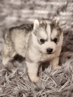 processed/bb037f20-14ce-4c85-8684-e09d2917ae42/listing/e690bd0f-15f4-4f3c-a4a3-33e4b1cbe4b8/312a941b-8084-4ba1-804b-0a1e7244065e