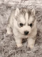 processed/bb037f20-14ce-4c85-8684-e09d2917ae42/listing/e690bd0f-15f4-4f3c-a4a3-33e4b1cbe4b8/69412016-dd93-4f07-aac1-9e237bc8a62a