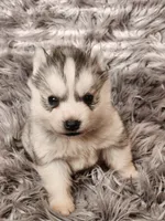 processed/bb037f20-14ce-4c85-8684-e09d2917ae42/listing/e690bd0f-15f4-4f3c-a4a3-33e4b1cbe4b8/ada80a4f-bda2-494e-aacc-1899a8aa83b4