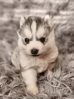 processed/bb037f20-14ce-4c85-8684-e09d2917ae42/listing/e690bd0f-15f4-4f3c-a4a3-33e4b1cbe4b8/b881b0de-d6b6-48eb-9b65-f761d14ae052