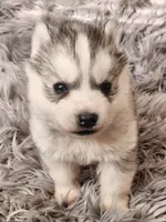 processed/bb037f20-14ce-4c85-8684-e09d2917ae42/listing/e690bd0f-15f4-4f3c-a4a3-33e4b1cbe4b8/d8489c14-10d2-42a7-8ba4-4726774c993b