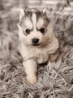 processed/bb037f20-14ce-4c85-8684-e09d2917ae42/listing/e690bd0f-15f4-4f3c-a4a3-33e4b1cbe4b8/e5116094-649c-4684-8be3-eea7e0fb8a21