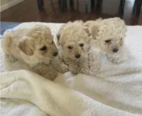 processed/bb19368a-49bb-4fb8-87d4-c696727f399f/facility/3a860c6a-81eb-4d51-bb9e-6eb75be276fe