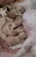 processed/bb19368a-49bb-4fb8-87d4-c696727f399f/facility/5746008c-a02d-47e1-9793-0a827dd3dfdf