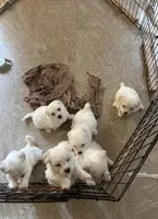 processed/bb19368a-49bb-4fb8-87d4-c696727f399f/facility/b48d3a7b-4df4-48ae-ab2e-120faae96059