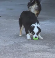 processed/bb2818a1-3faa-48f4-aea8-a0681eb6ffb4/listing/0711b3f1-6d09-4e60-b160-f8d1867a95e2/64a6f4fa-d912-460a-b355-3984b9709eab