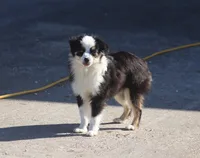 processed/bb2818a1-3faa-48f4-aea8-a0681eb6ffb4/listing/0711b3f1-6d09-4e60-b160-f8d1867a95e2/e773c7a9-68b1-4b7f-b716-15c67be66778