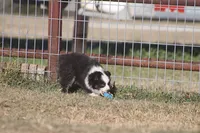 processed/bb2818a1-3faa-48f4-aea8-a0681eb6ffb4/listing/0ee65932-956f-4e33-bf25-0966cd29f0ea/235b7e6c-631a-4c19-946e-4c0c512cdbac