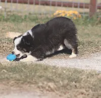 processed/bb2818a1-3faa-48f4-aea8-a0681eb6ffb4/listing/0ee65932-956f-4e33-bf25-0966cd29f0ea/52cc6b38-9d74-42a1-8d56-582a9d3935dc