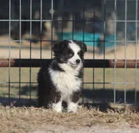 processed/bb2818a1-3faa-48f4-aea8-a0681eb6ffb4/listing/0ee65932-956f-4e33-bf25-0966cd29f0ea/5ac7aced-d8e2-49f6-81bb-732becd988cf