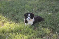 processed/bb2818a1-3faa-48f4-aea8-a0681eb6ffb4/listing/0fcbf5e7-ed73-48f8-984f-ad2a6e0f10f9/2721f9a7-156b-4cee-9a72-e37a6245a841