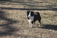 processed/bb2818a1-3faa-48f4-aea8-a0681eb6ffb4/listing/0fcbf5e7-ed73-48f8-984f-ad2a6e0f10f9/4b69a85c-3edc-4cdb-a516-d39d04205993