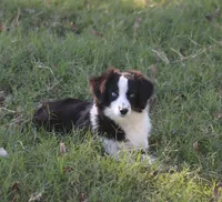 processed/bb2818a1-3faa-48f4-aea8-a0681eb6ffb4/listing/0fcbf5e7-ed73-48f8-984f-ad2a6e0f10f9/5322214e-47f5-469a-962d-b74dc3ec1ab9