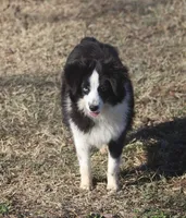 processed/bb2818a1-3faa-48f4-aea8-a0681eb6ffb4/listing/0fcbf5e7-ed73-48f8-984f-ad2a6e0f10f9/9bfbeecf-261b-4867-bfad-c56b730ee7ff