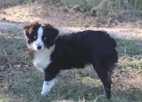 processed/bb2818a1-3faa-48f4-aea8-a0681eb6ffb4/listing/0fcbf5e7-ed73-48f8-984f-ad2a6e0f10f9/b2cd40e9-b306-4867-821a-a21a71d79e3f