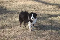 processed/bb2818a1-3faa-48f4-aea8-a0681eb6ffb4/listing/0fcbf5e7-ed73-48f8-984f-ad2a6e0f10f9/bab041a8-9021-4d56-a929-815534fda2fb