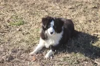 processed/bb2818a1-3faa-48f4-aea8-a0681eb6ffb4/listing/0fcbf5e7-ed73-48f8-984f-ad2a6e0f10f9/ebe4eec4-d6fe-49fe-89aa-8ac60f9b6c5e