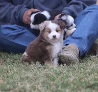 processed/bb2818a1-3faa-48f4-aea8-a0681eb6ffb4/listing/170ffb27-ee0a-42d9-8908-9f1b945317ac/40079f5e-8a23-41f4-be40-b60c498d08e0