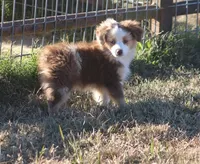 processed/bb2818a1-3faa-48f4-aea8-a0681eb6ffb4/listing/170ffb27-ee0a-42d9-8908-9f1b945317ac/4c1a993d-7bad-401c-b1e3-3e880ba2b9a1