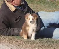 processed/bb2818a1-3faa-48f4-aea8-a0681eb6ffb4/listing/170ffb27-ee0a-42d9-8908-9f1b945317ac/51d94878-9609-4411-97e0-c8221af75737