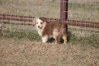 processed/bb2818a1-3faa-48f4-aea8-a0681eb6ffb4/listing/170ffb27-ee0a-42d9-8908-9f1b945317ac/c7ec74f7-db52-4d03-828d-5f345b9c3917